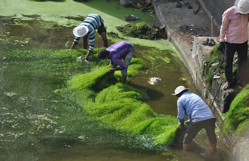 Cleanliness Drive at Janjira Fort