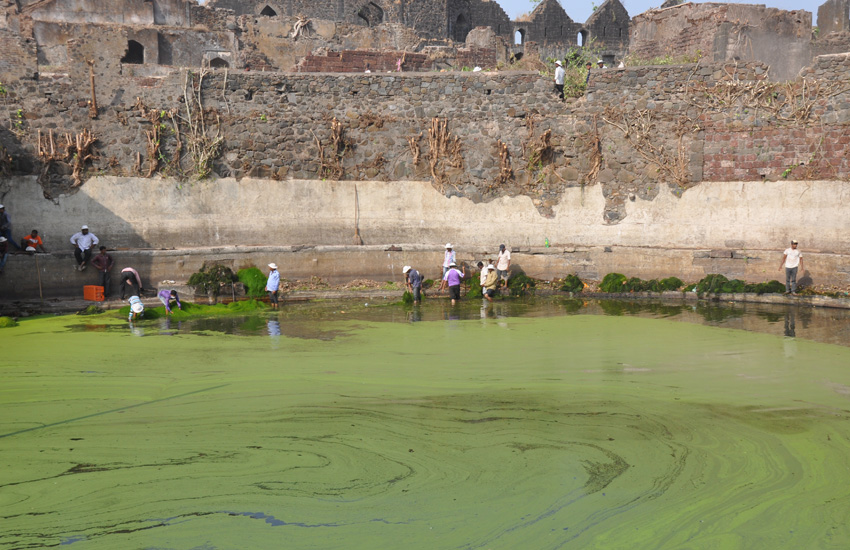 Cleanliness Drive at Janjira Fort