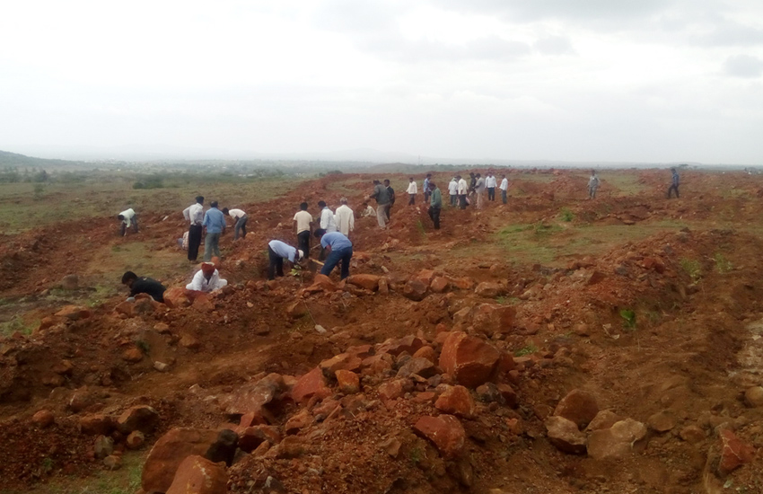 Tree Plantation Sangali