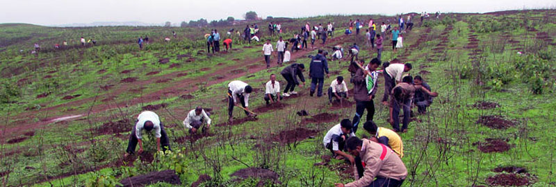 Manpower - creating a Green Revolution